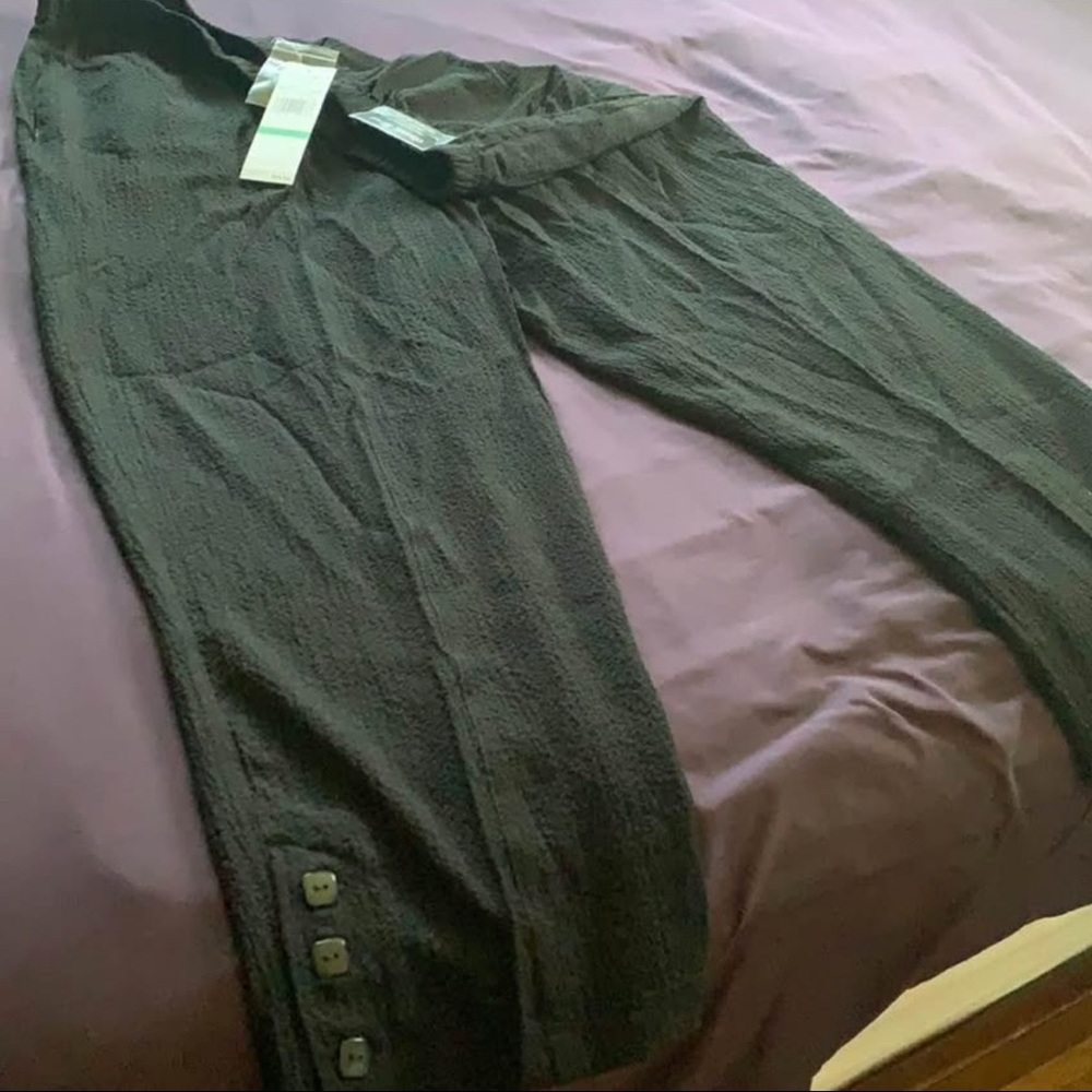 Alfred Dunner Black Classic Fit Pants